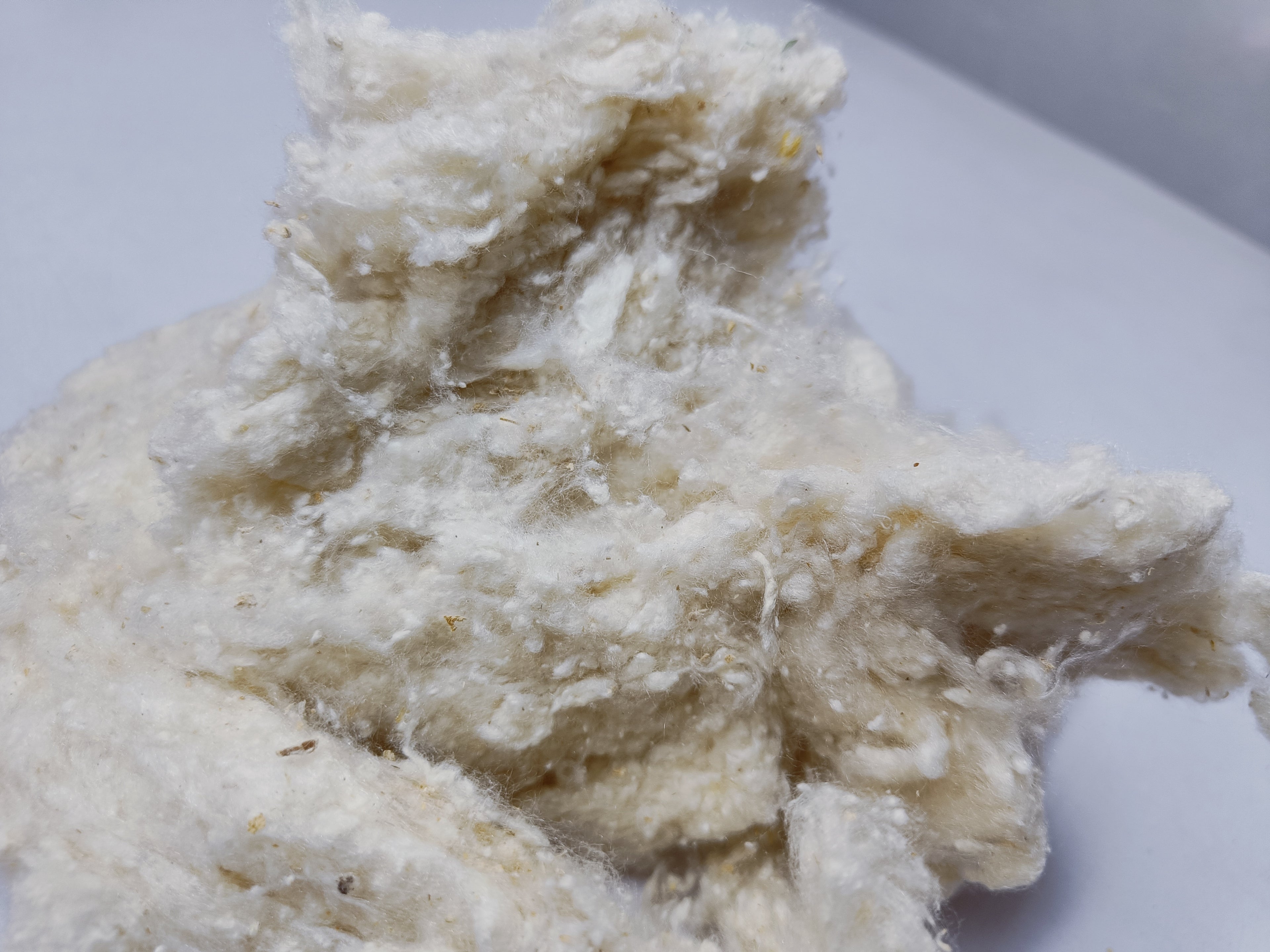 Noil Silk Fiber