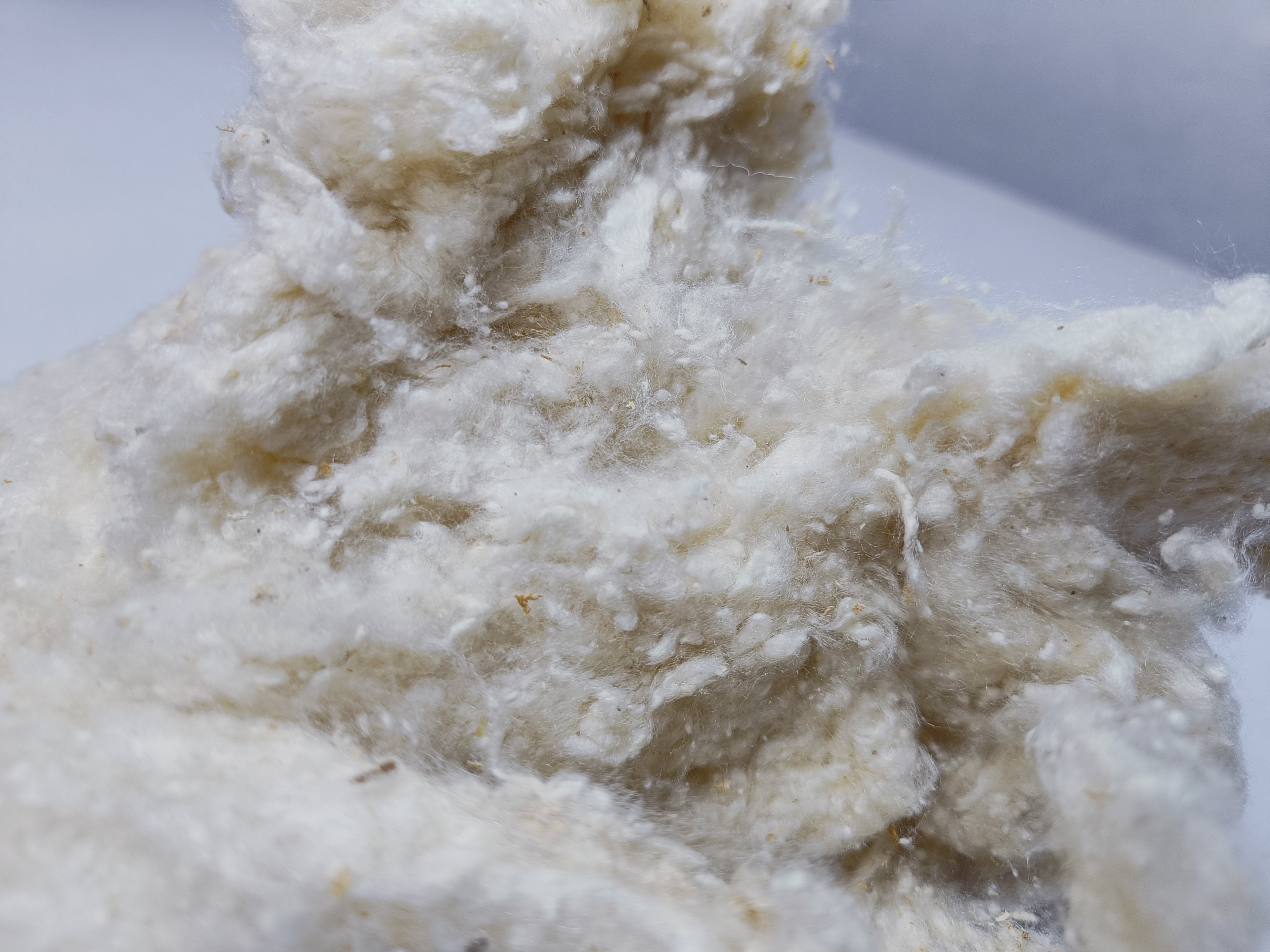 Noil Silk Fiber