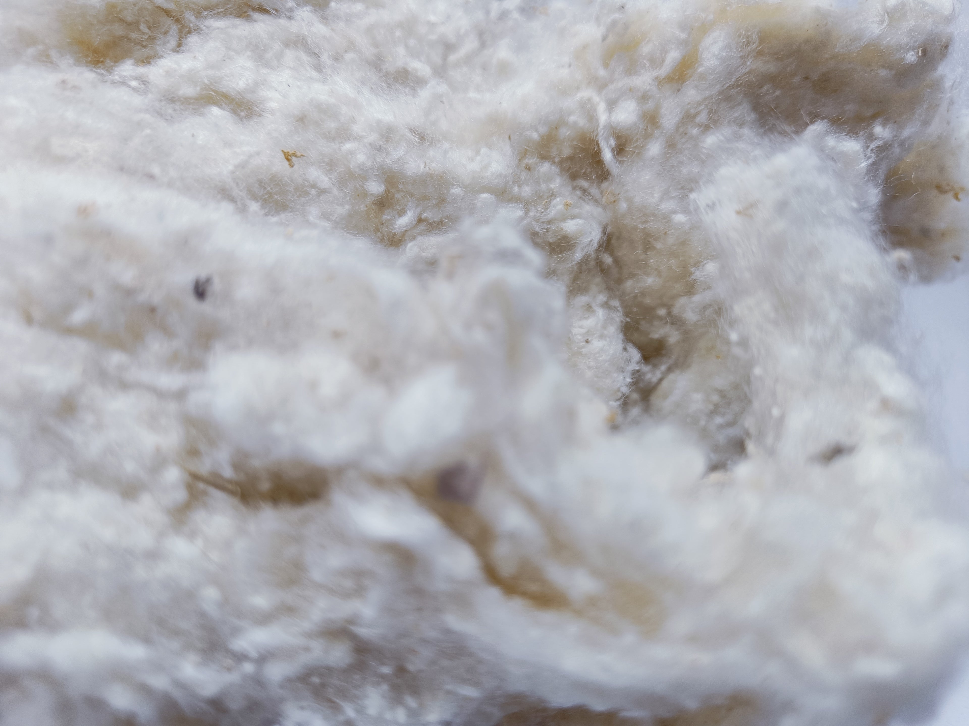 Noil Silk Fiber